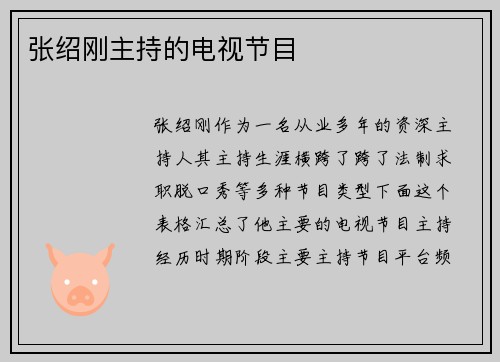 张绍刚主持的电视节目